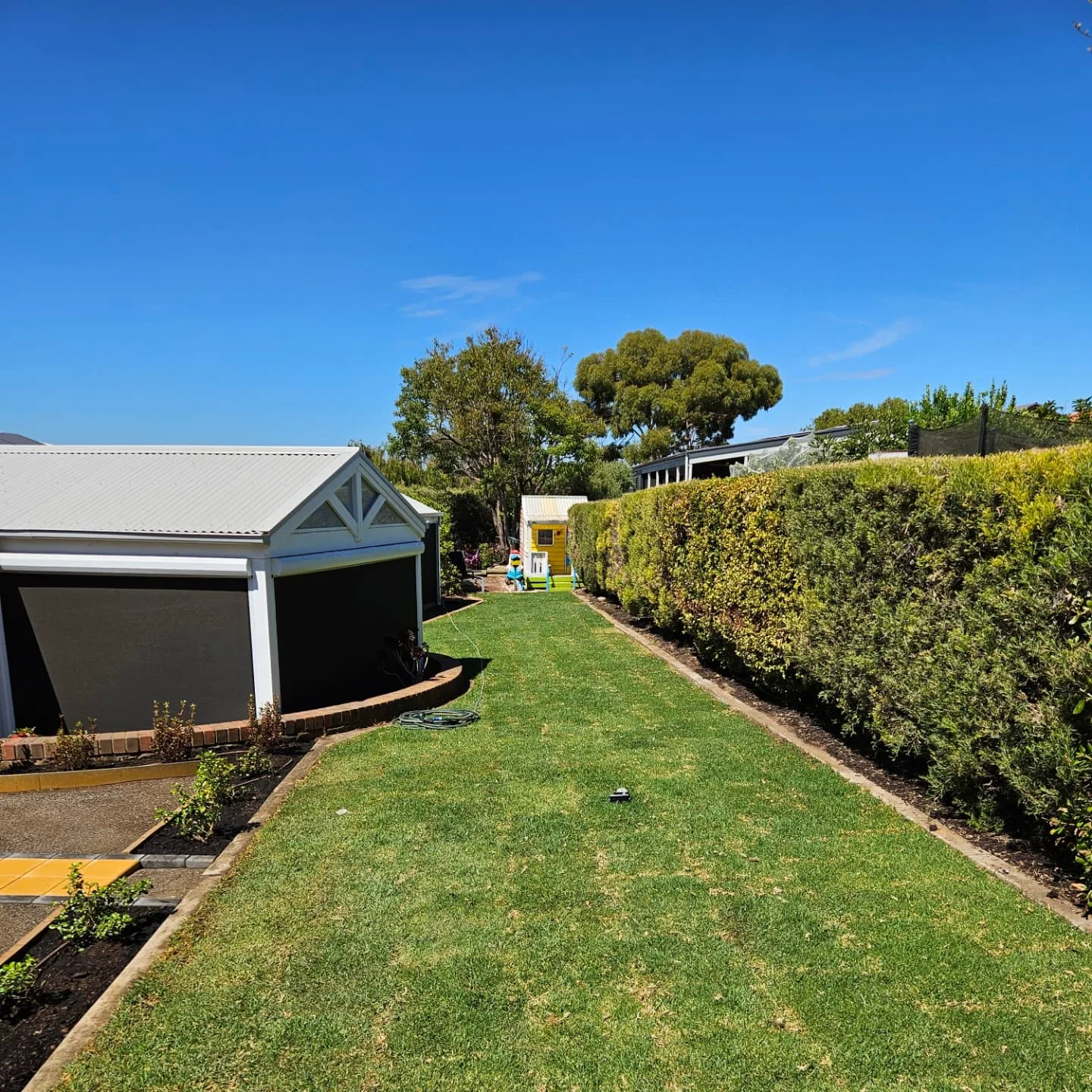 Backyard lawn with steel garden edging along a hedge