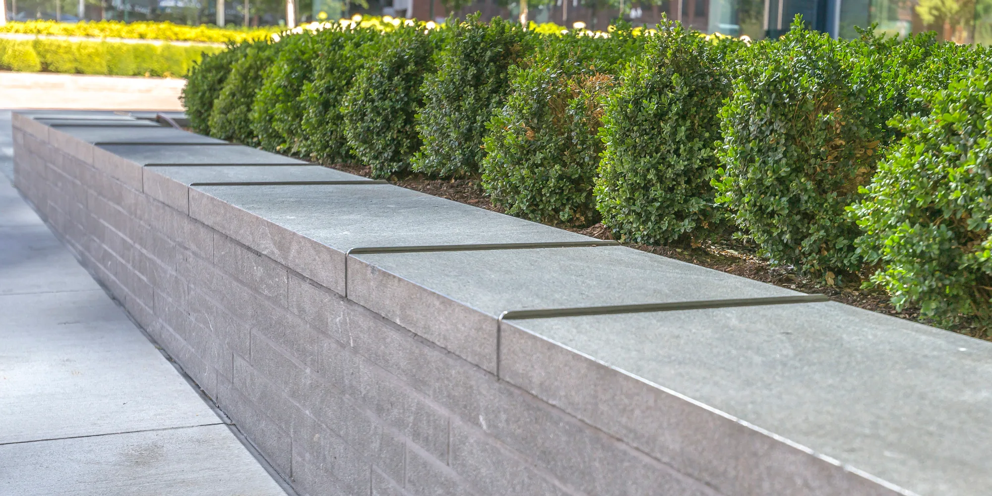 Stone-capped retaining wall topped with a clipped hedge
