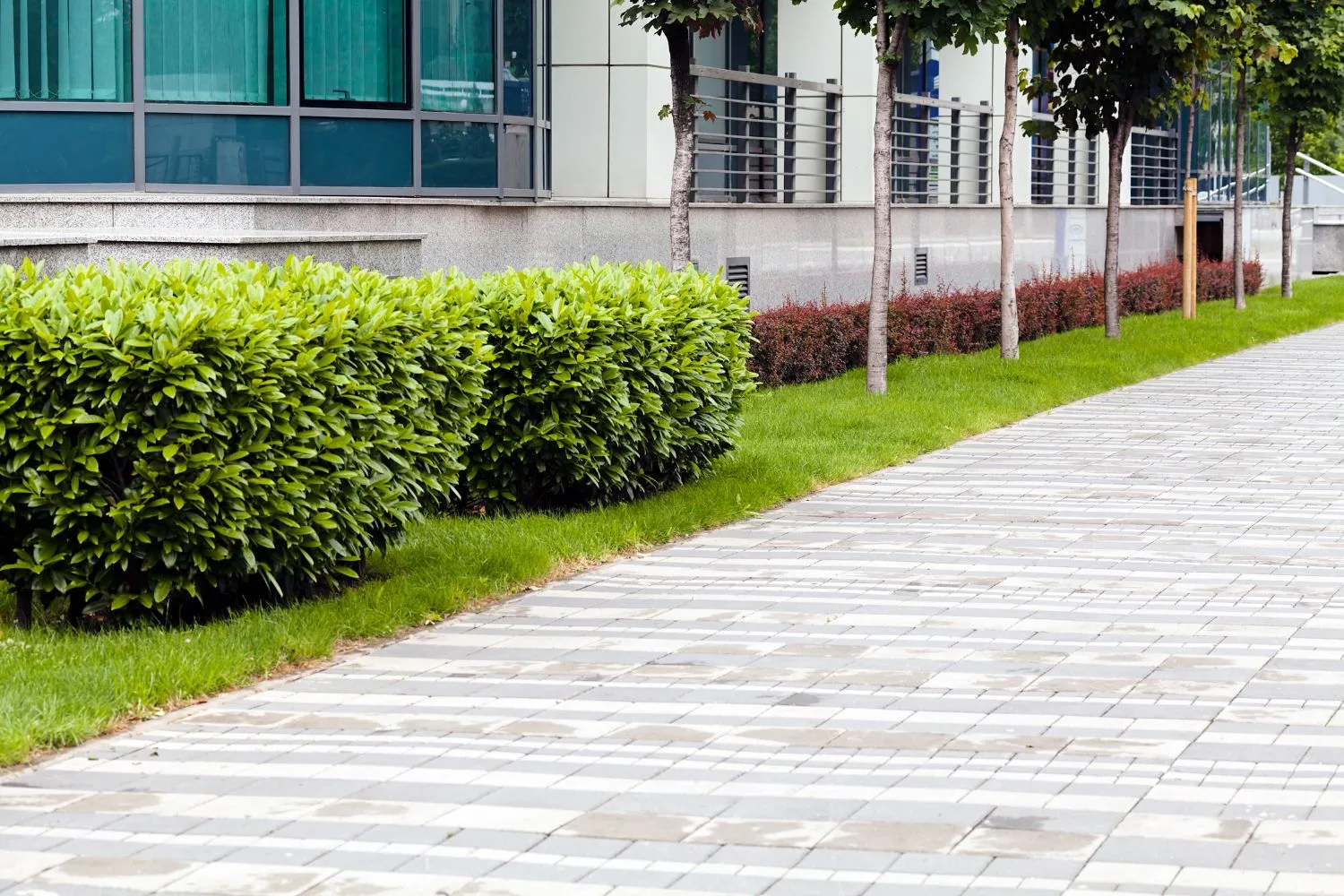 Wide paved walkway beside clipped hedges and lawn at a commercial building