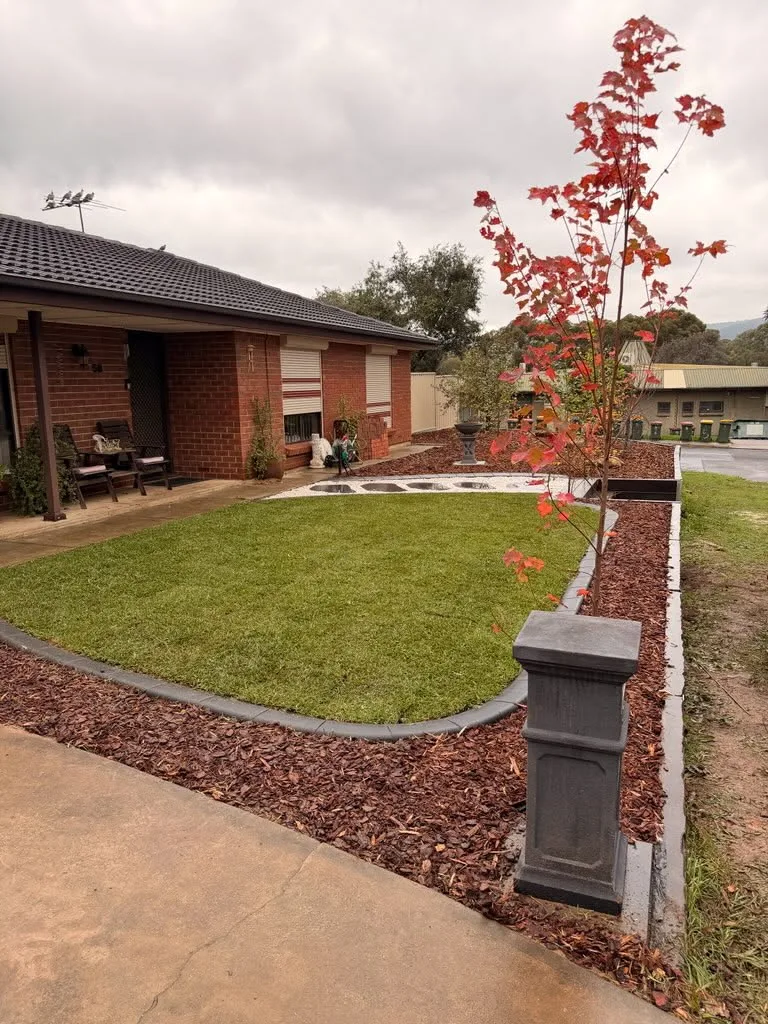 Renovated front garden with curved lawn, mulched bed and a young maple