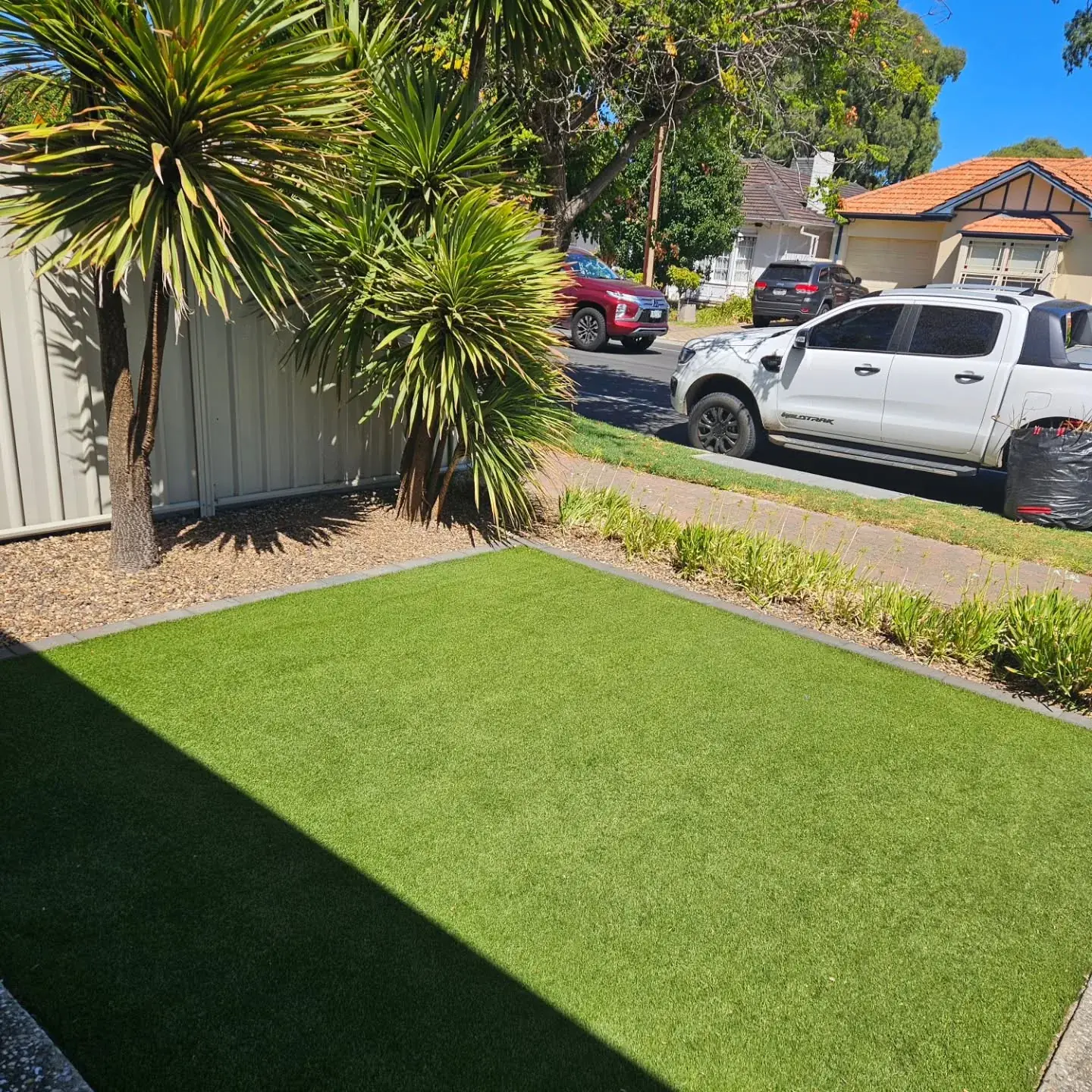 Front yard turf with palms and a mulched garden border