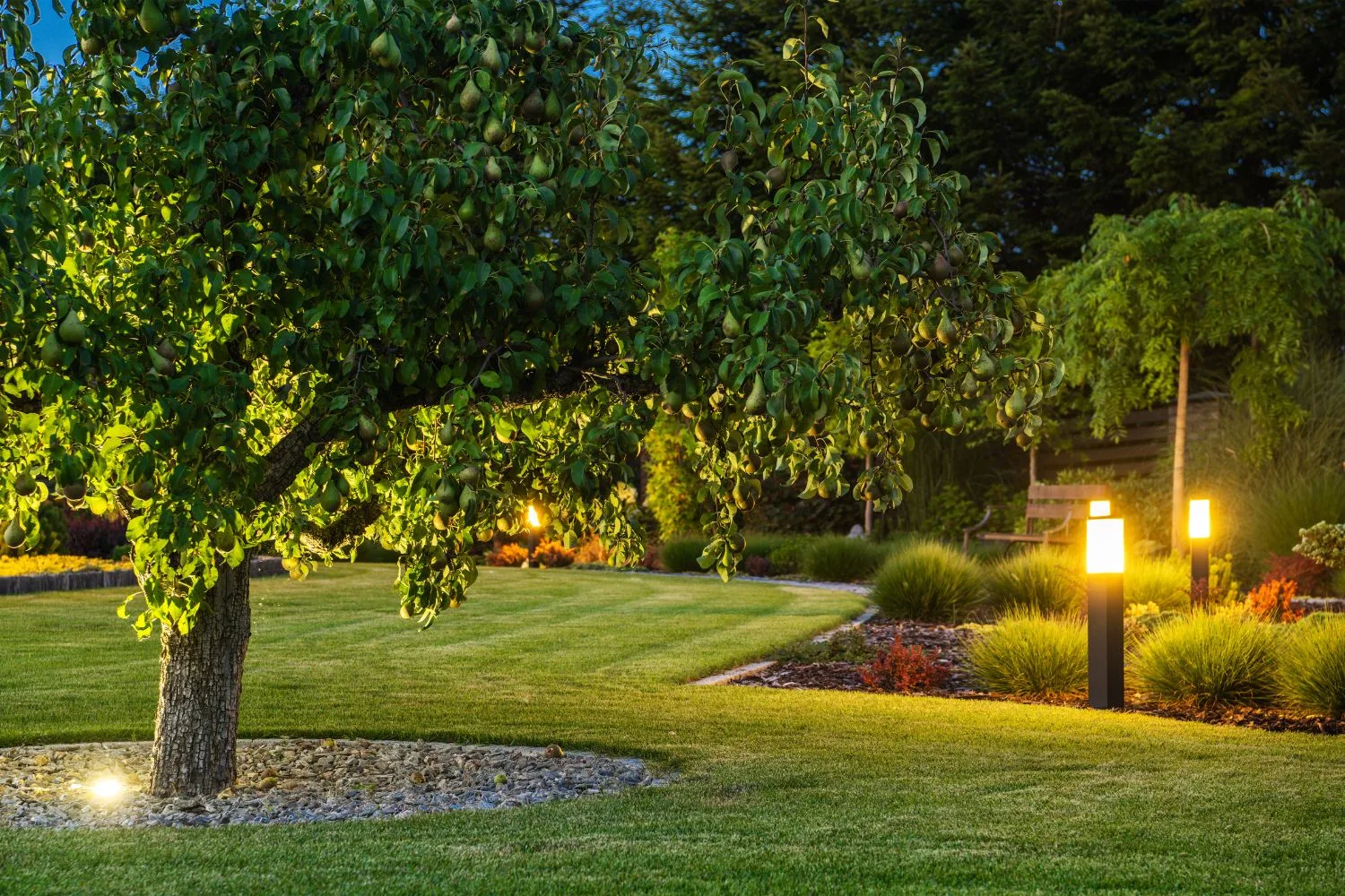 Garden path bollard lights and uplit tree in a lawn garden at dusk