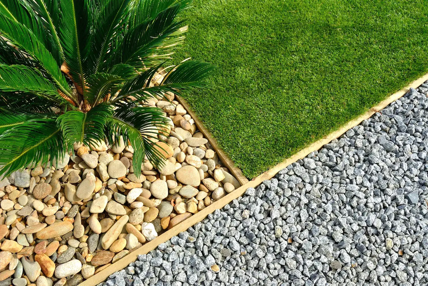 Garden bed edge where river pebbles, gravel and lawn meet beneath a cycad