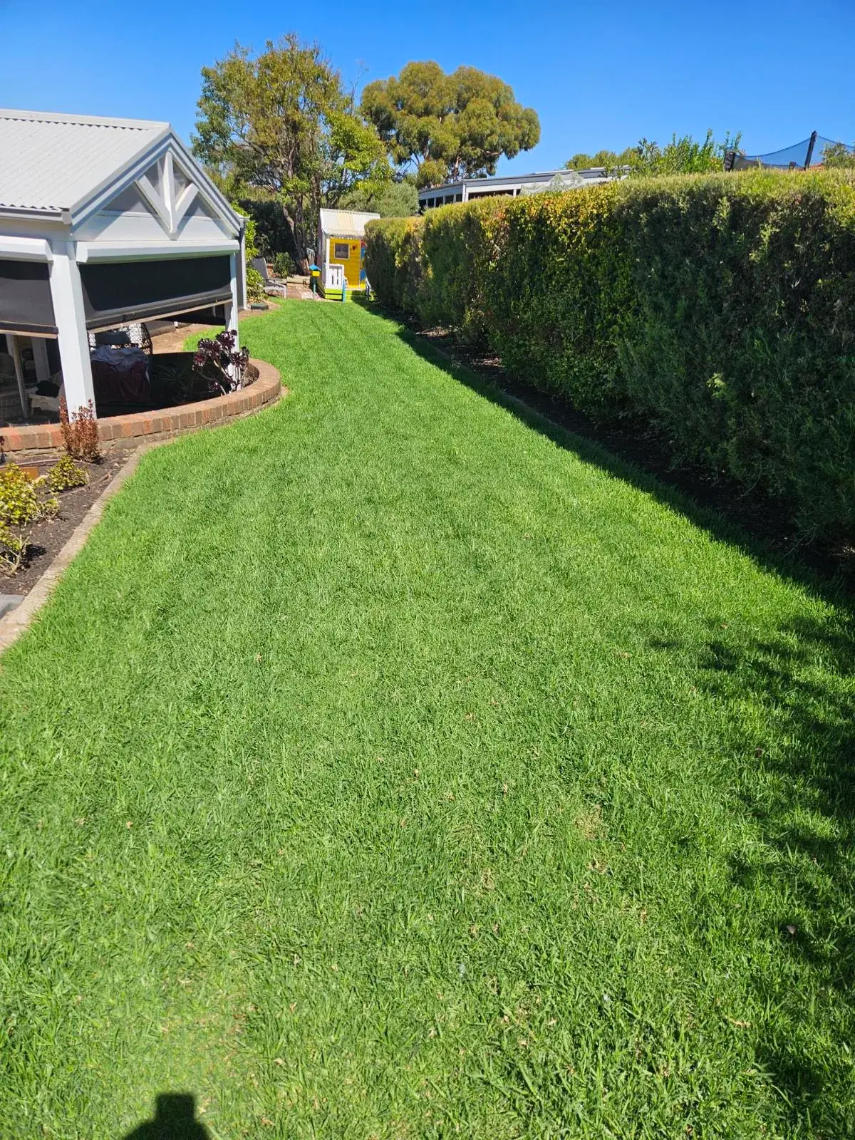 Narrow side-yard lawn running beside a tall hedge