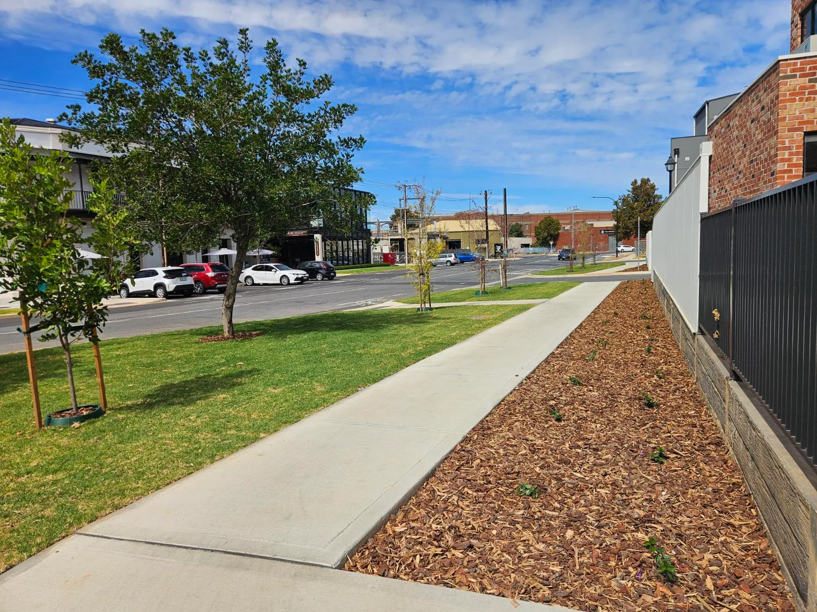 Streetscape with a concrete path between new turf and a mulched bed